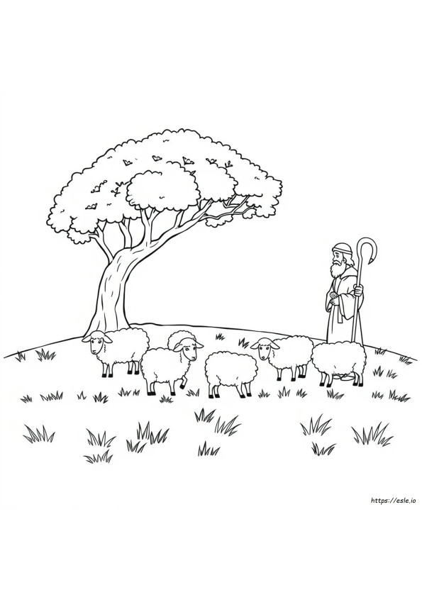 Coloriage Berger Et Moutons