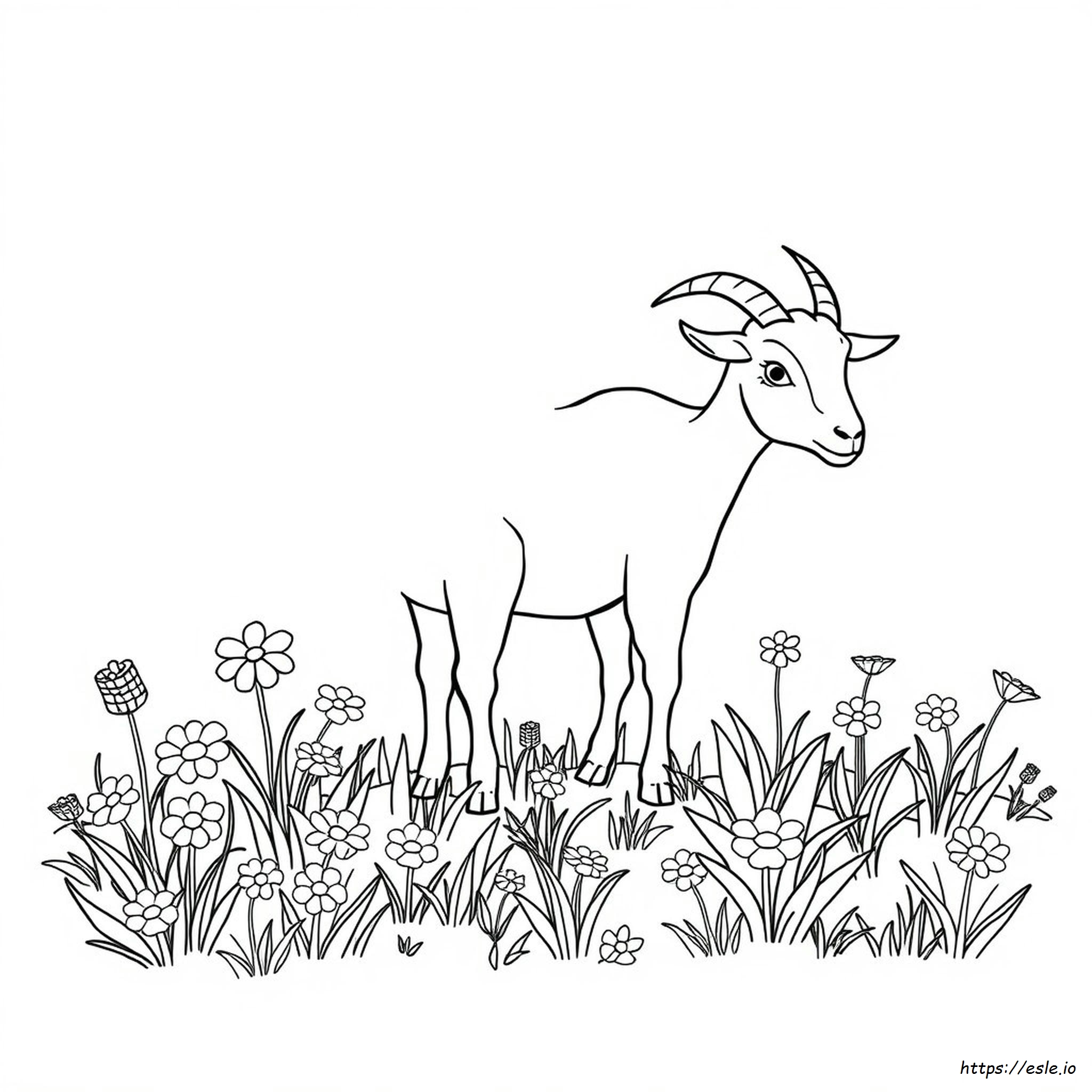 Goat Coloring Images