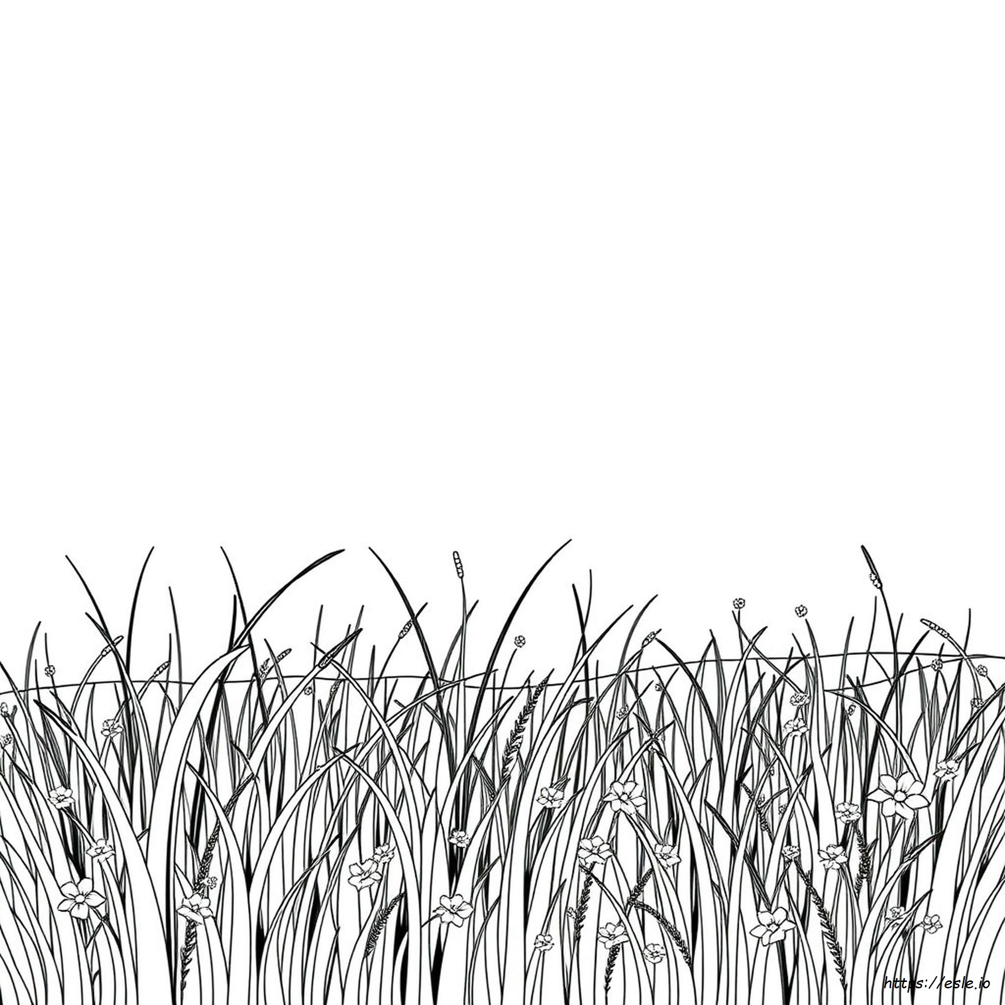 Disegni Da Colorare Di Erba