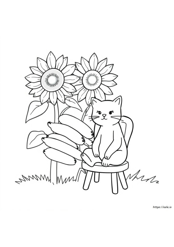 Muz Kedi Boyama