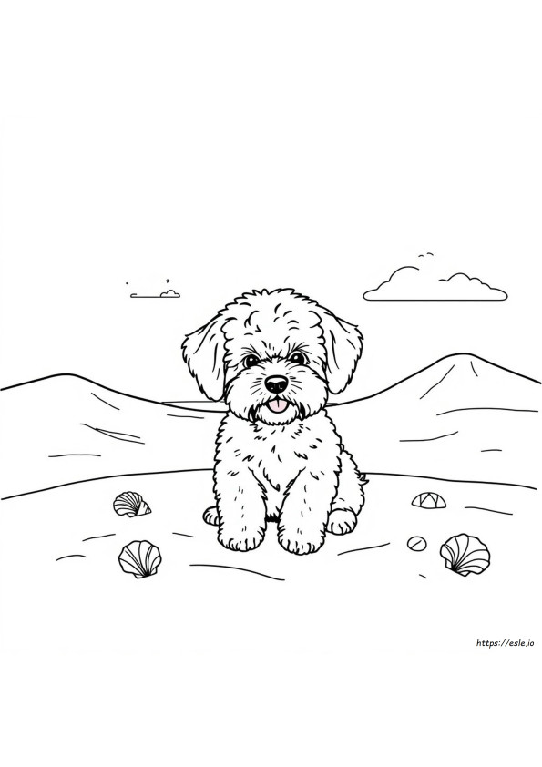 Bichon Kleurplaten