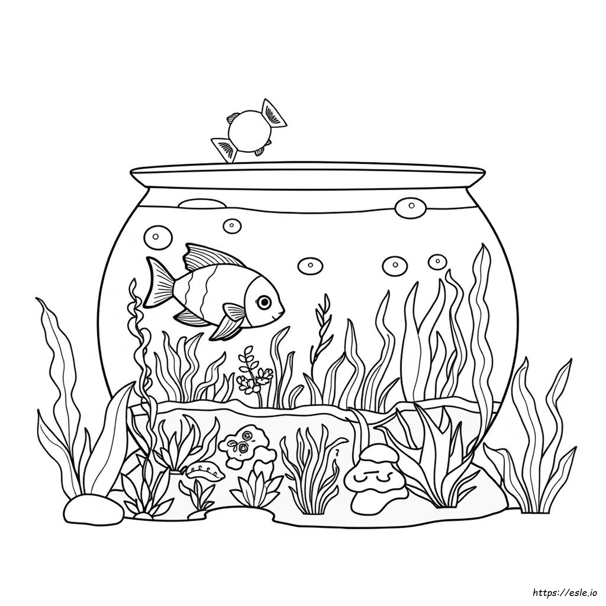 Acquario Da Colorare Gratis