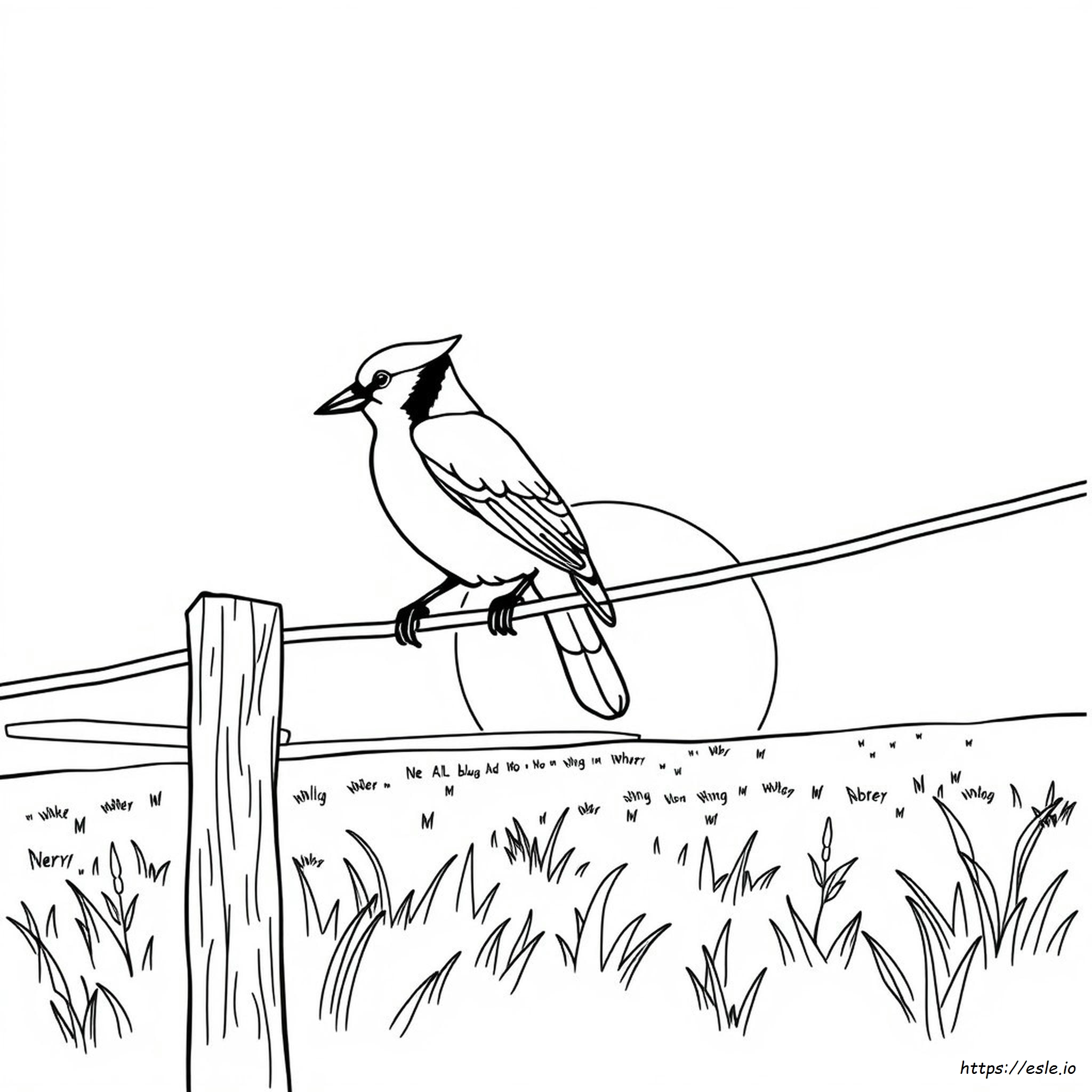 Airplane Coloring Pages Pdf