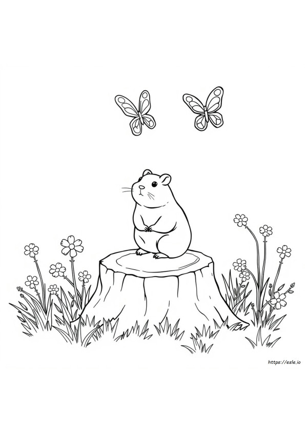 Coloriage Hamster Gratuit À Imprimer