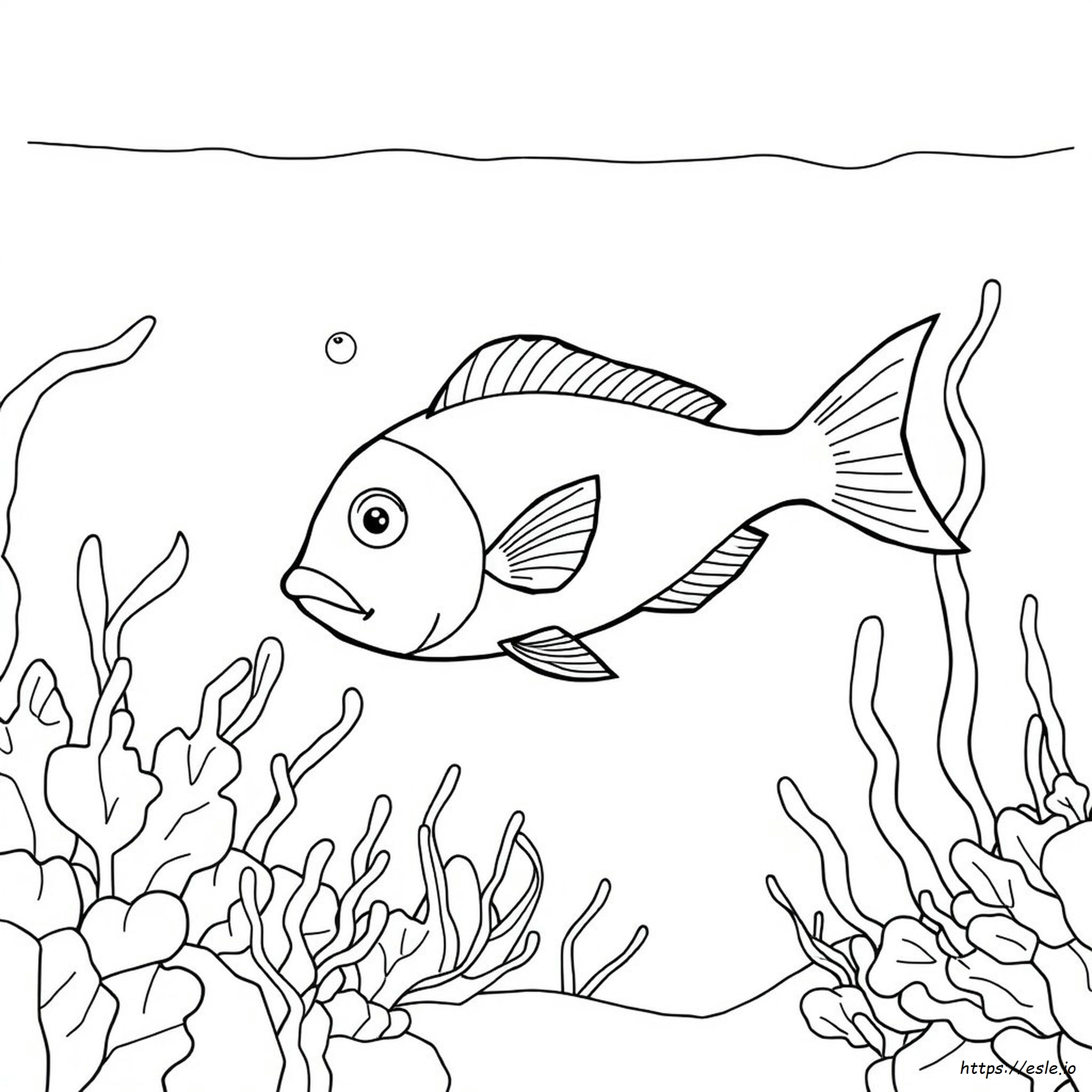 Dibujos De Peces Para Colorear Para Imprimir