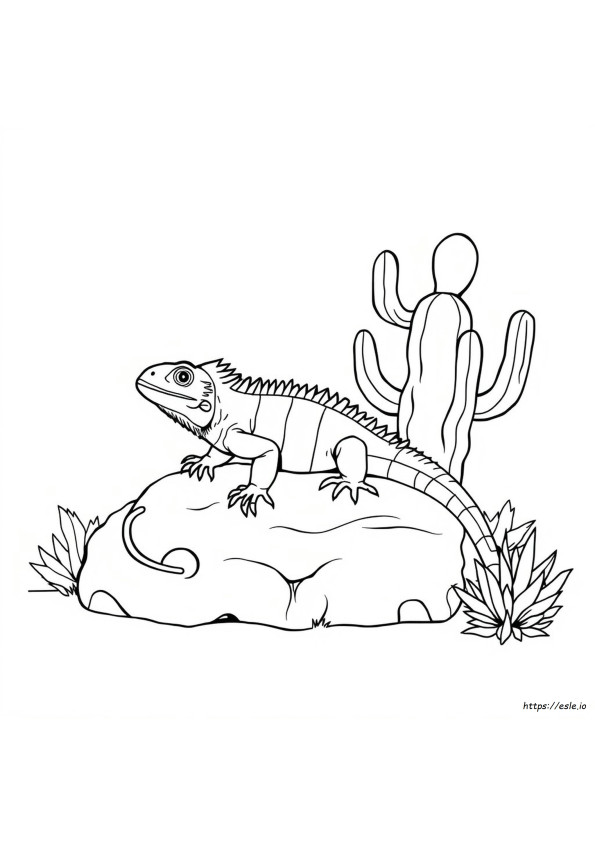 Iguana Para Colorir Grátis