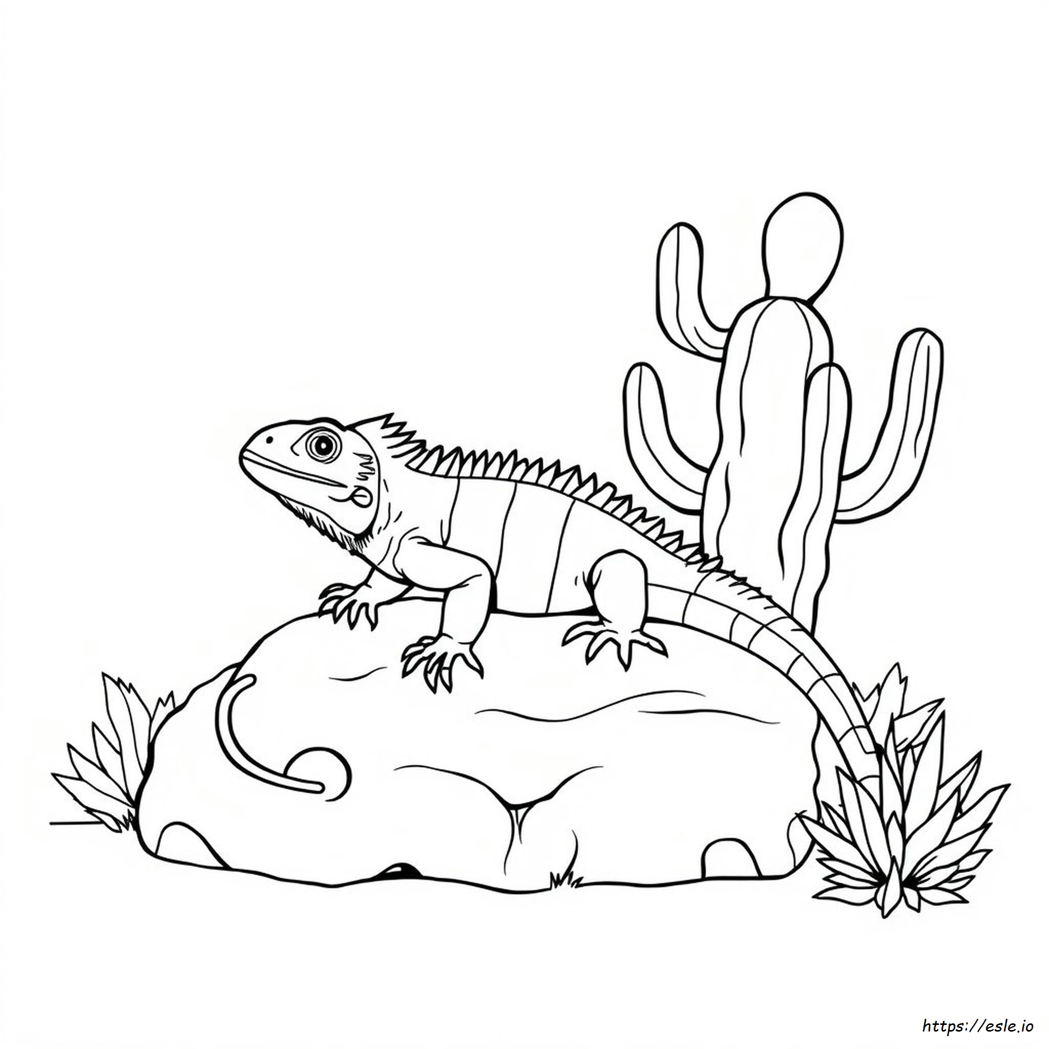Free Iguana Coloring Pages
