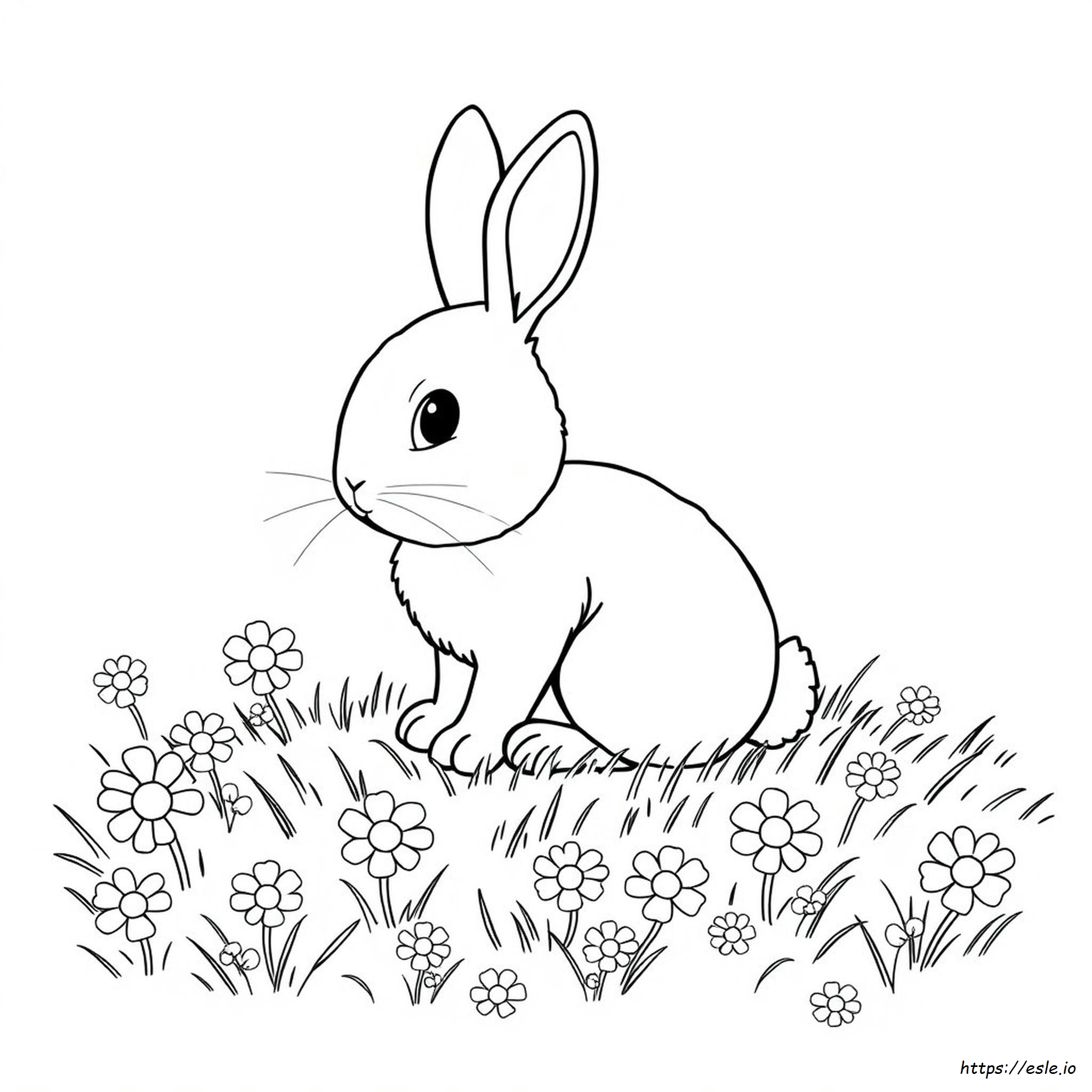 Coniglio Carino Da Colorare Da Stampare
