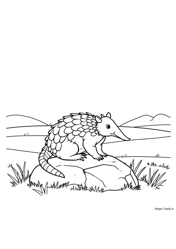 Coloriage Tatou Mignon