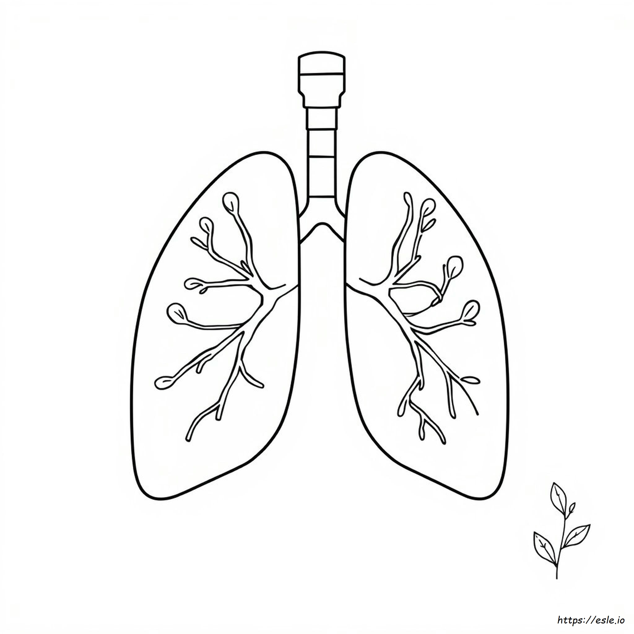 Respiratory Coloring Page