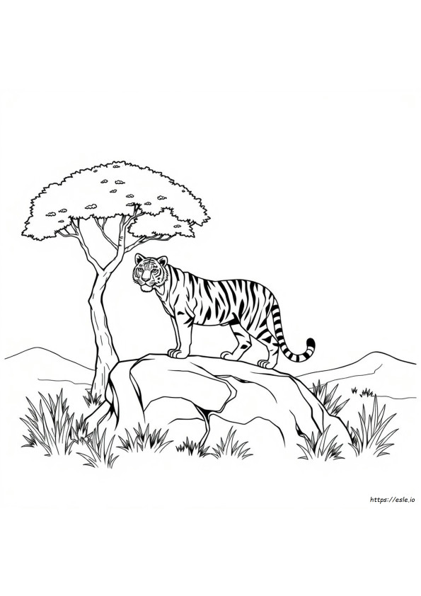 Printable Tiger Colouring