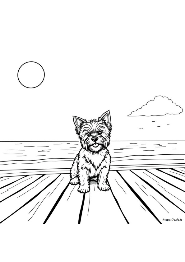Yorkie Kleurplaat