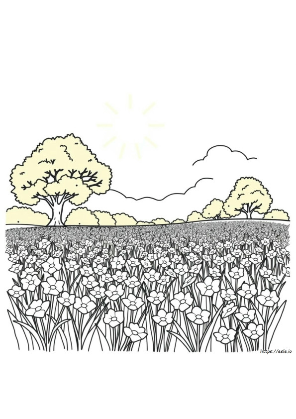 God Made Spring Coloring Pages