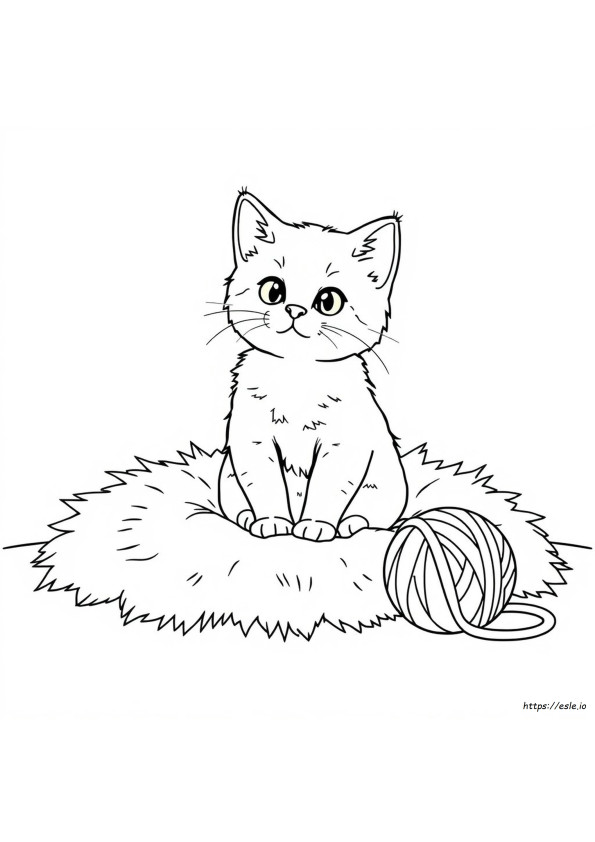 Kitty Cat Colouring In