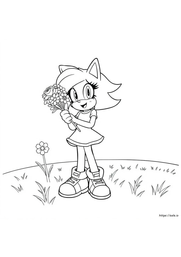Páginas Para Colorear De Rosas Amy Rose Sonic Boom Para Colorear