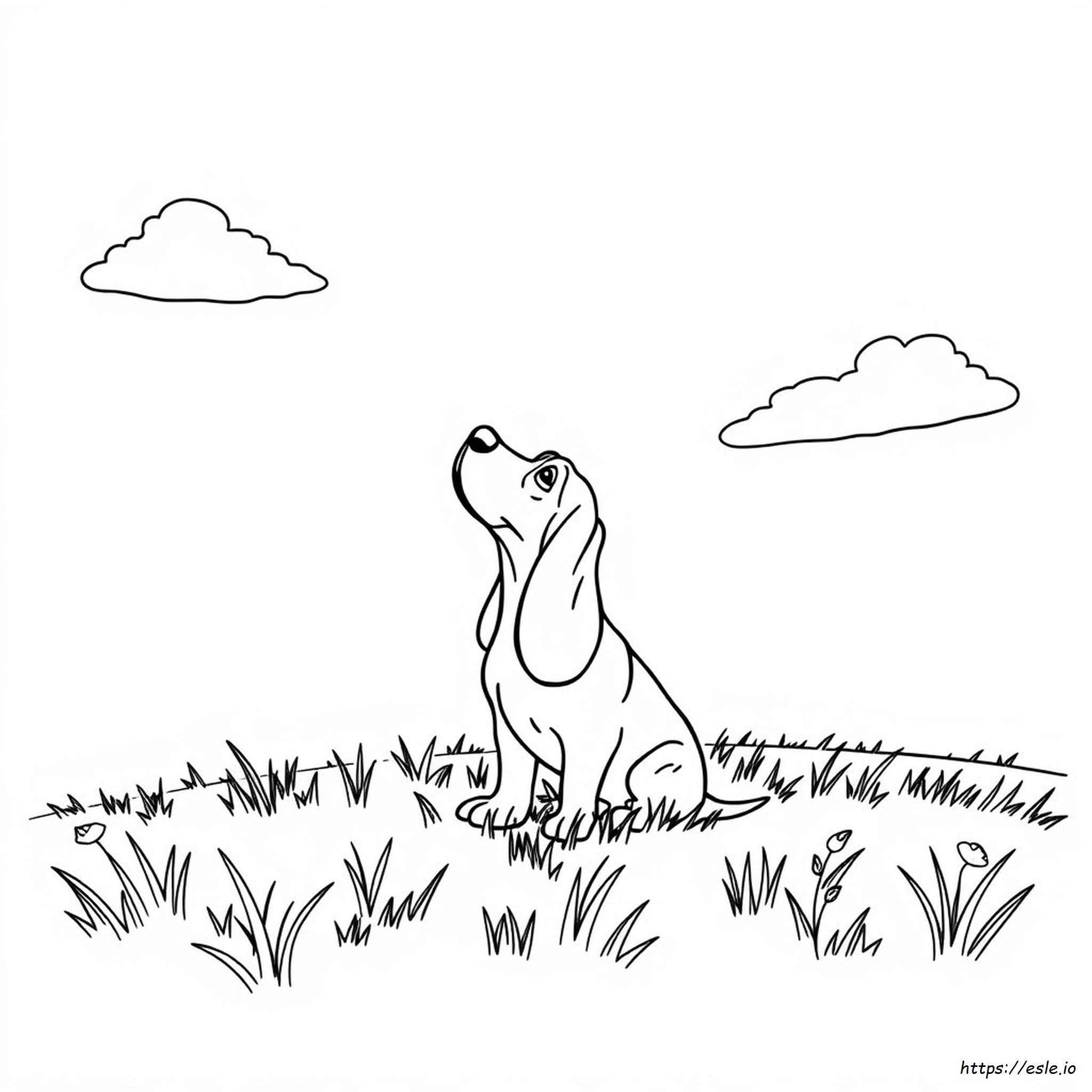 Printable Basset Hound Coloring Page