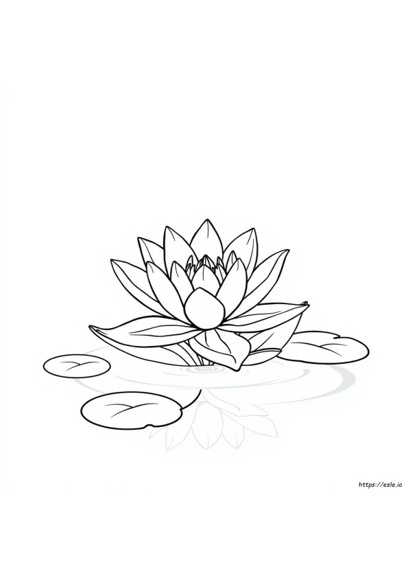 Coloriage Lily