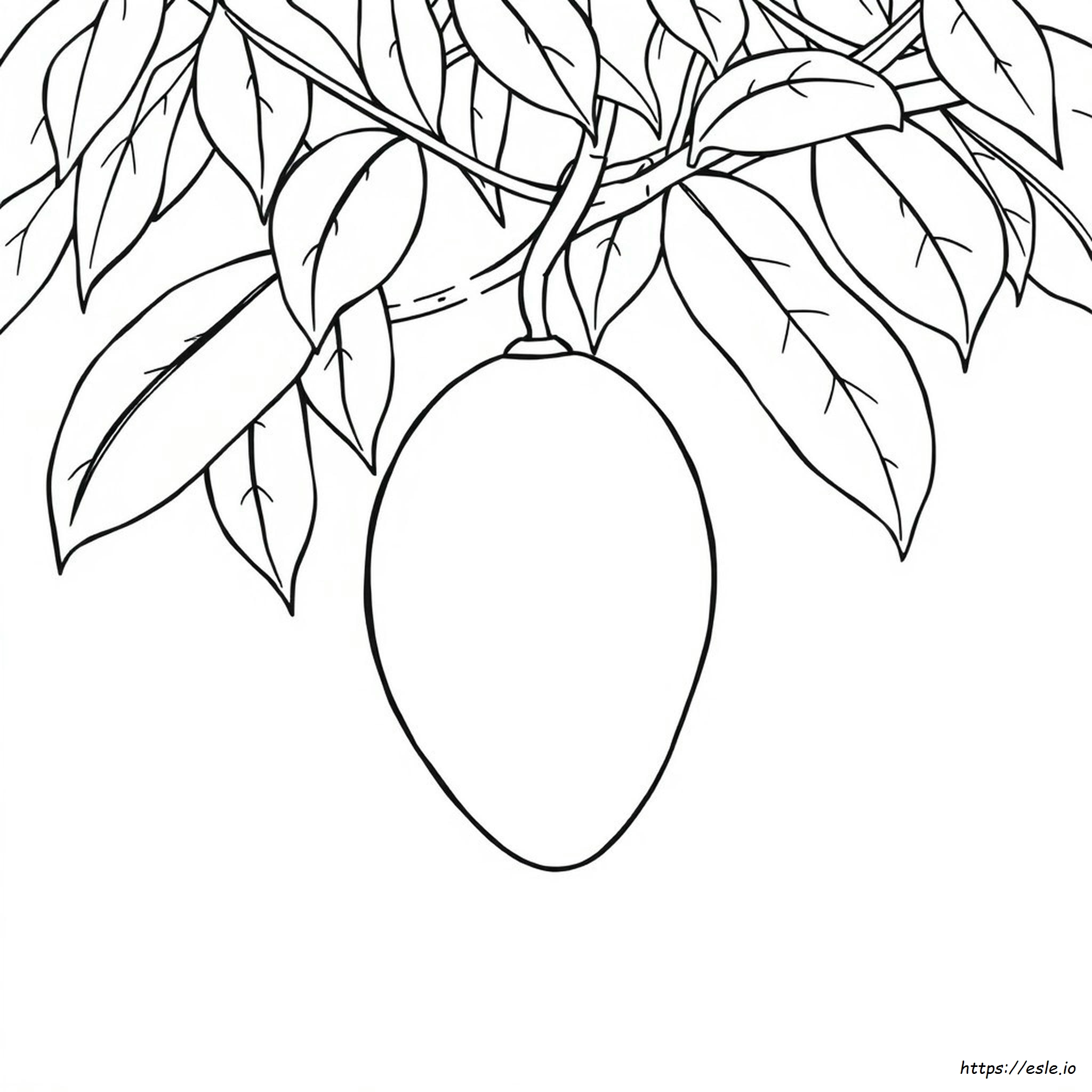Colouring Images Of Mango