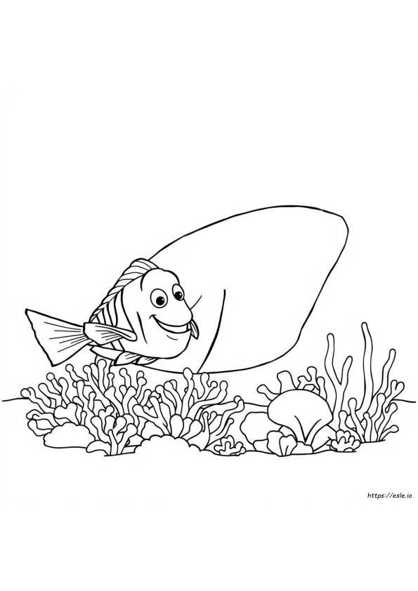 Bruce Di Alla Ricerca Di Nemo Disegni Da Colorare