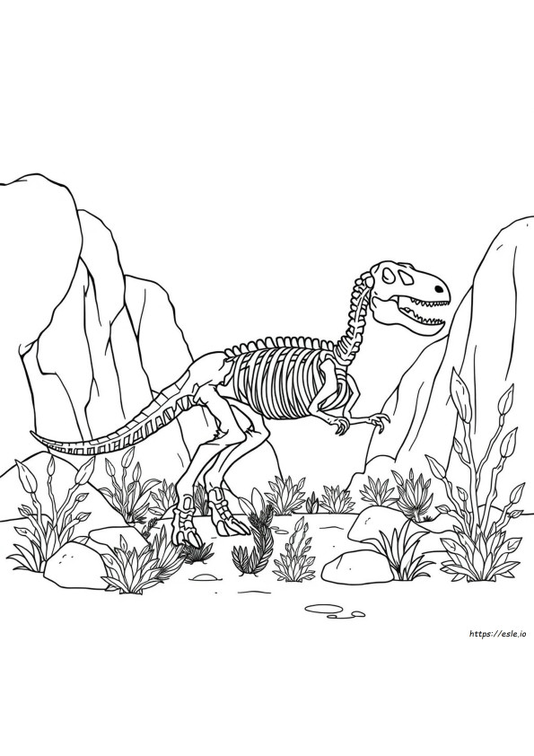 Mewarnai Gambar Kerangka Dinosaurus