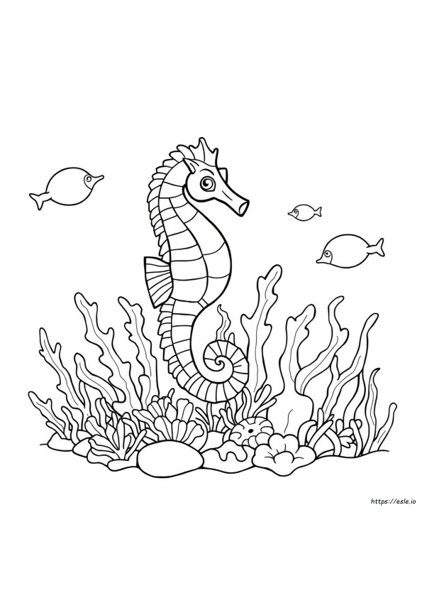 Sea Horse For Coloring