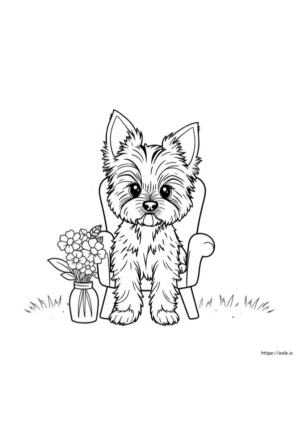 Kostenlose Yorkie Malvorlagen