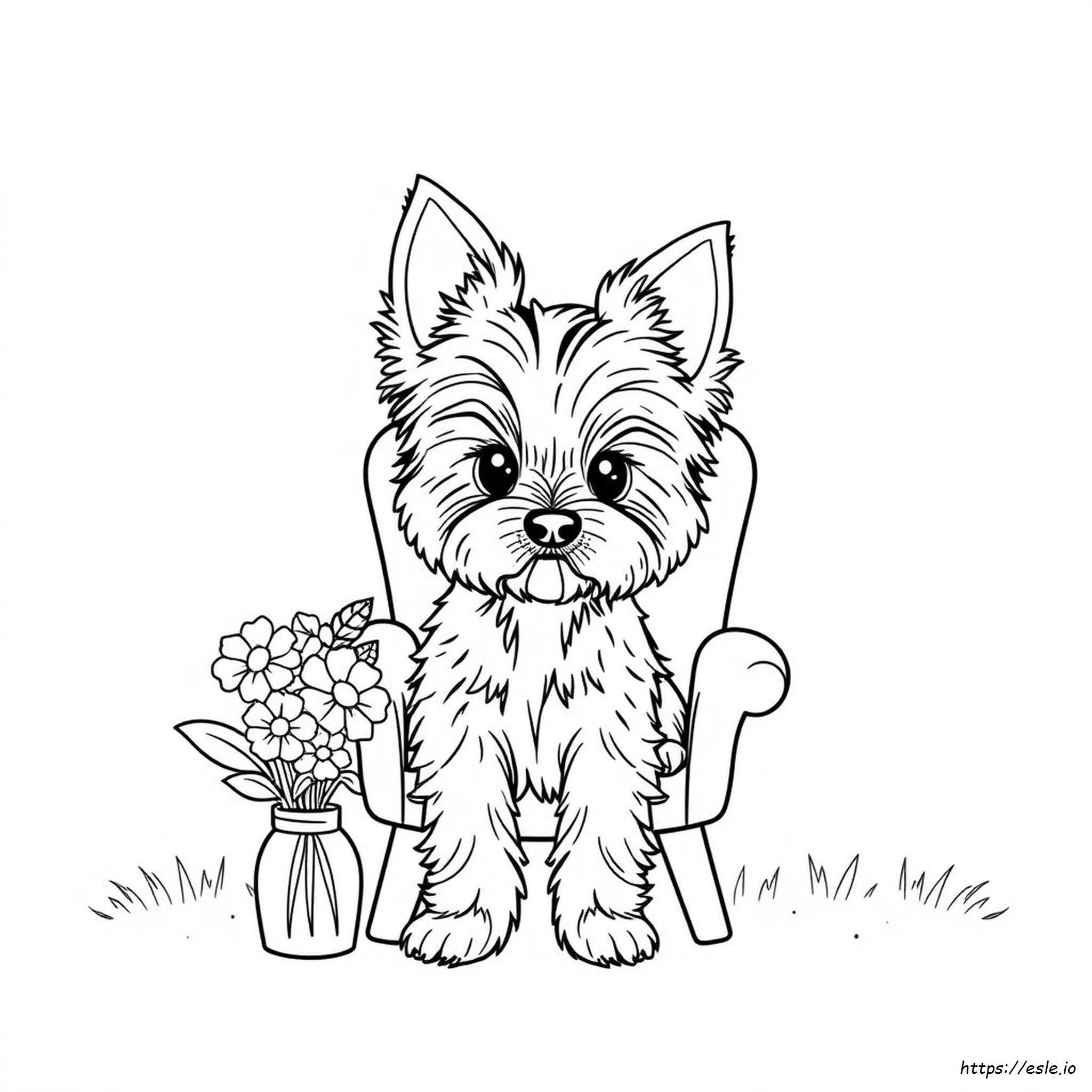Free Yorkie Coloring Pages