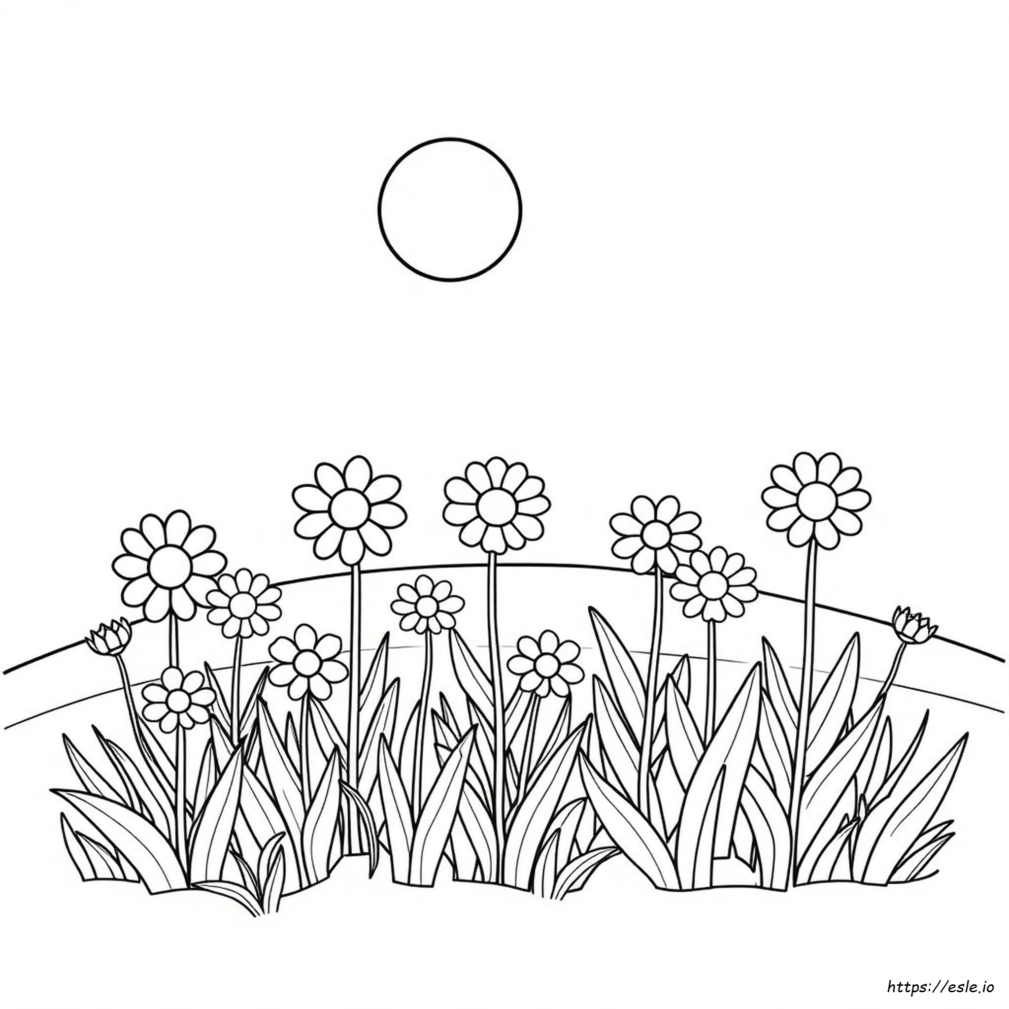 Inspiración De Dibujos Para Colorear