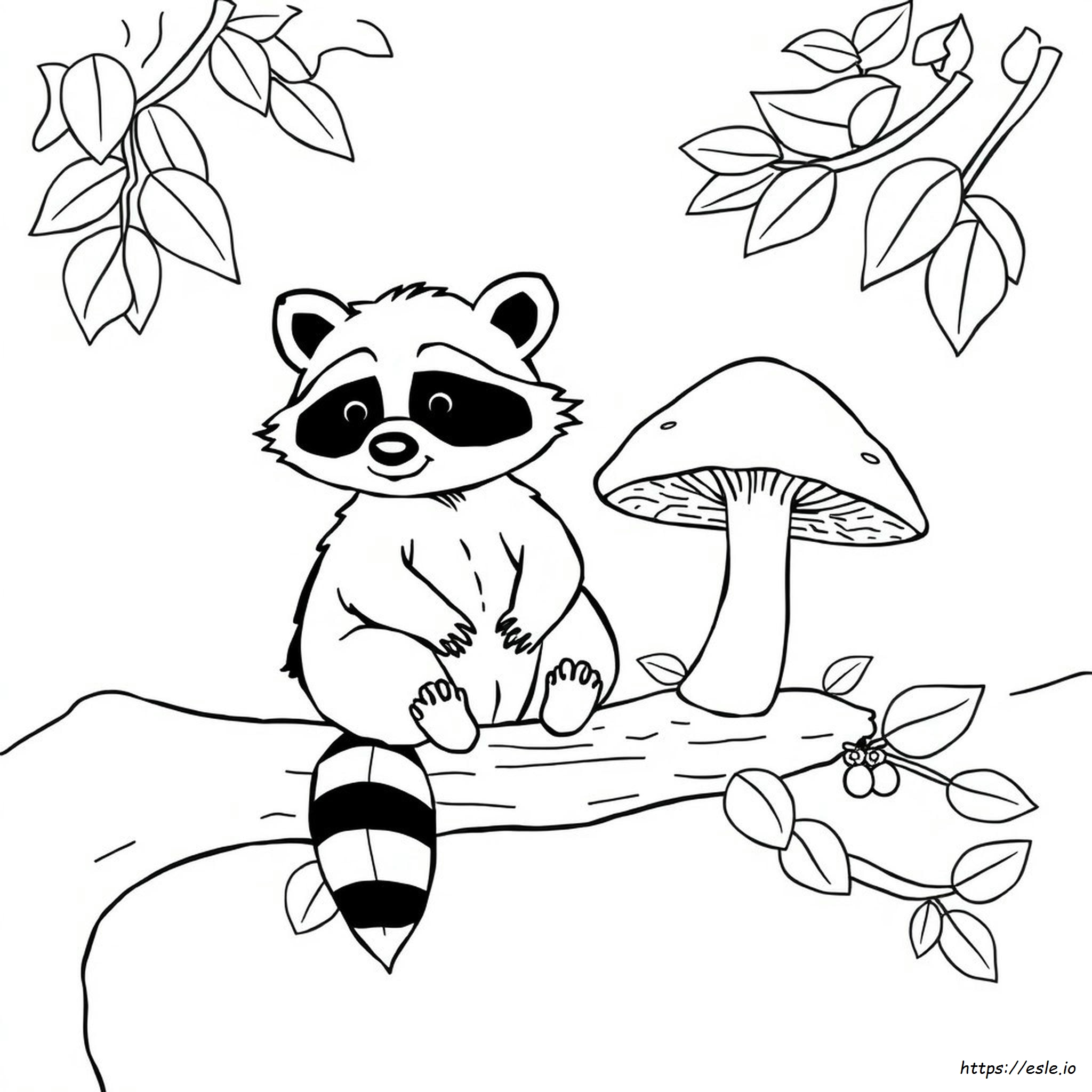 Racoon Colouring Page