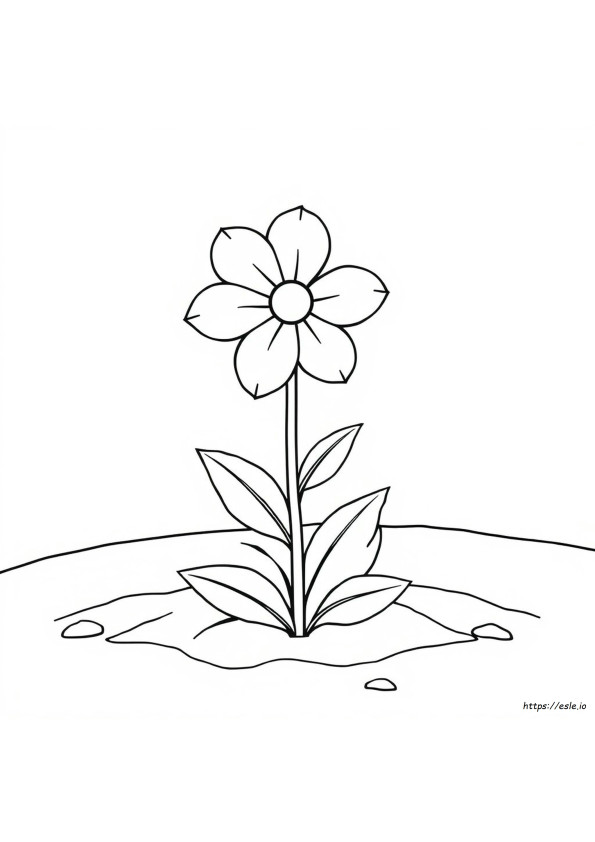 Fortgeschrittene Blumen Malvorlagen