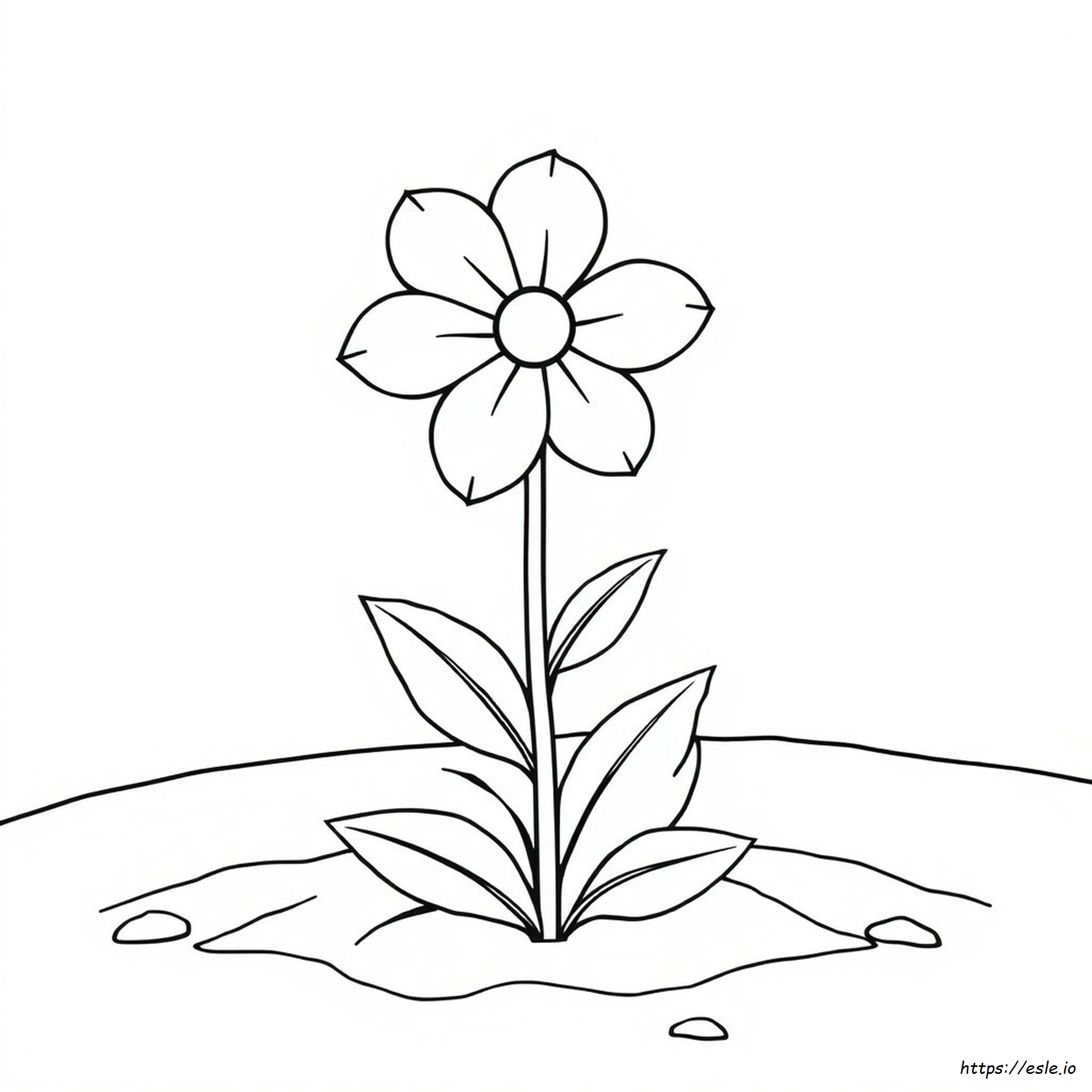 Advanced Flower Coloring Pages