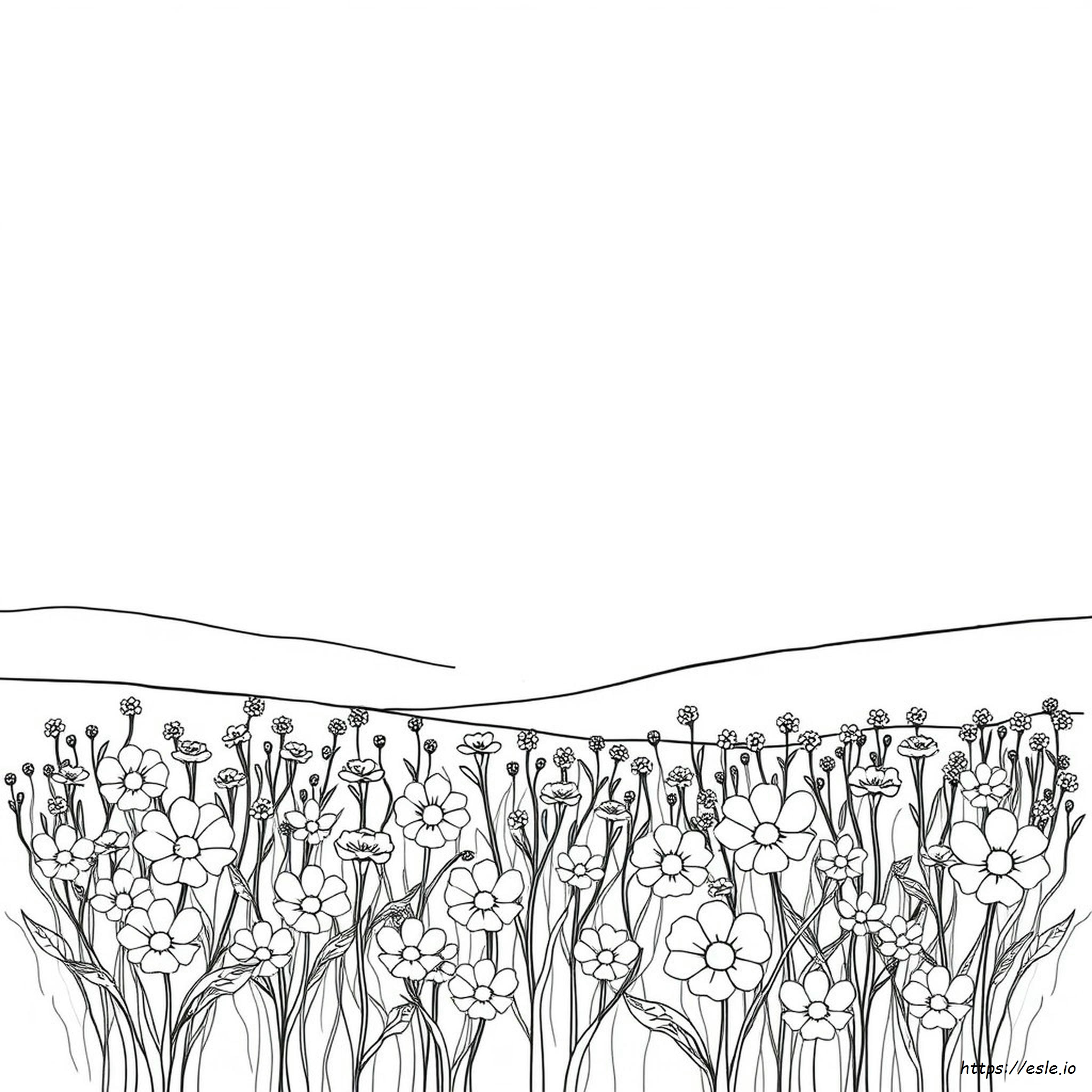 Free Watercolor Coloring Pages