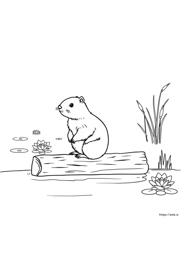 Coloriage Capybara