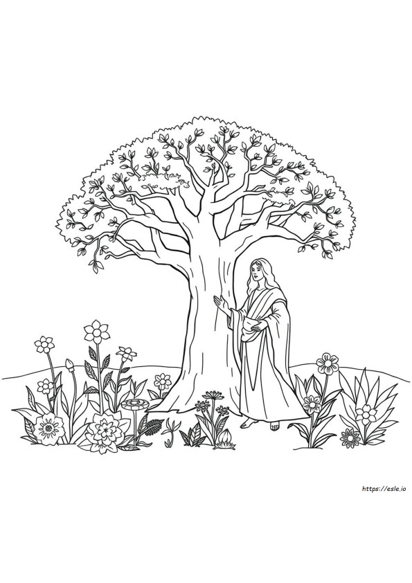 Creation Of The World Coloring Pages
