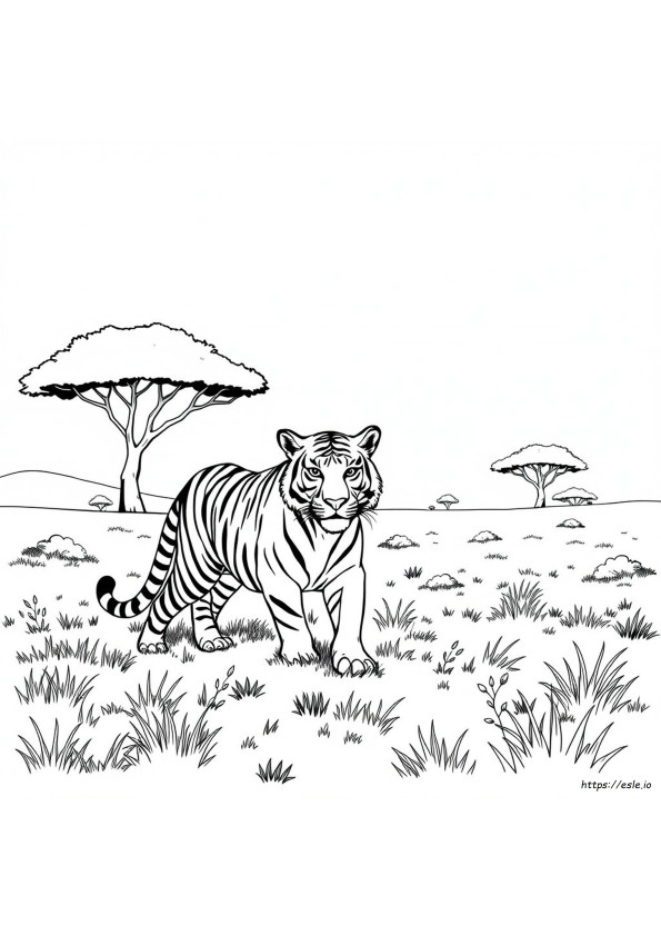 Tigris Színező Oldalak