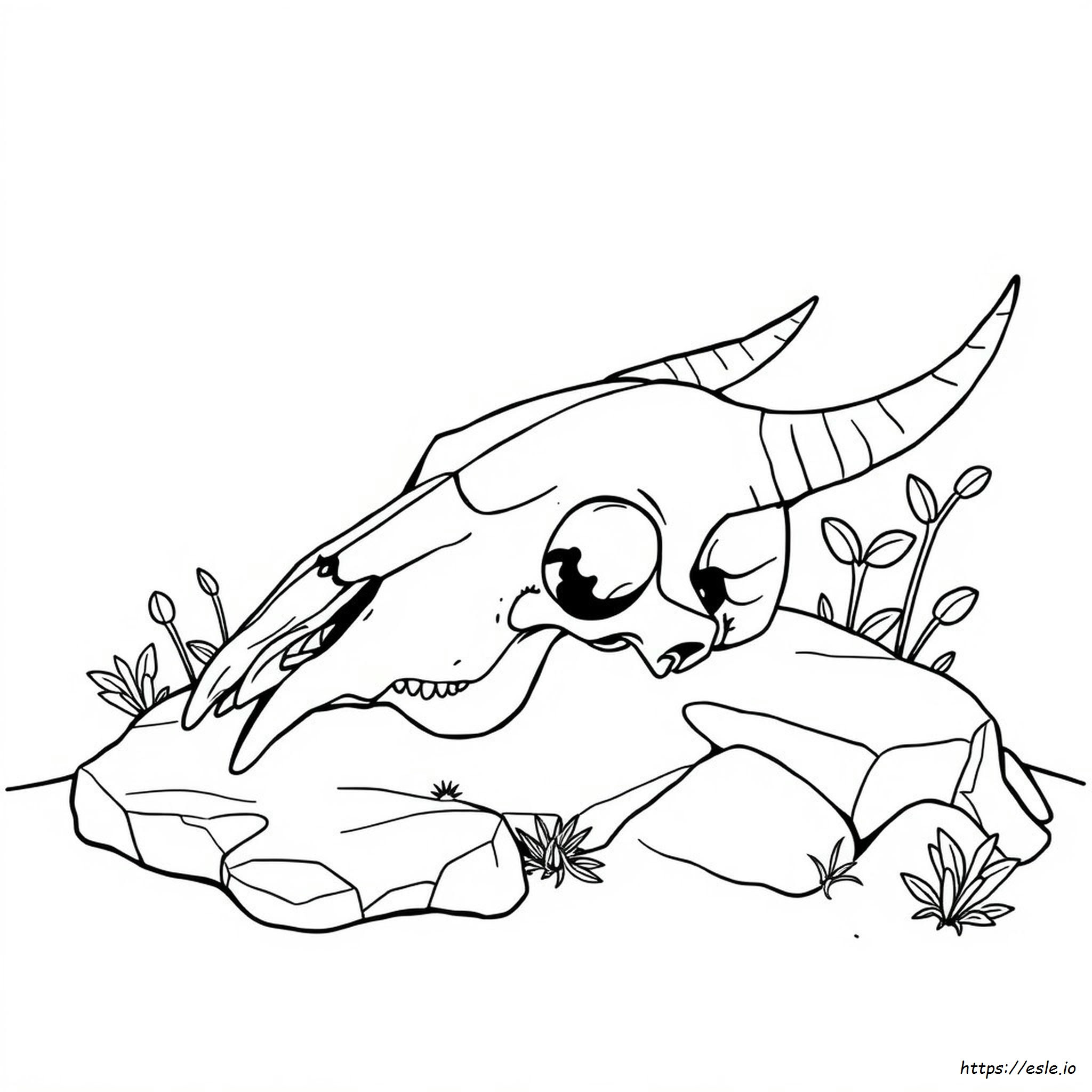 Animal Skull Coloring Pages
