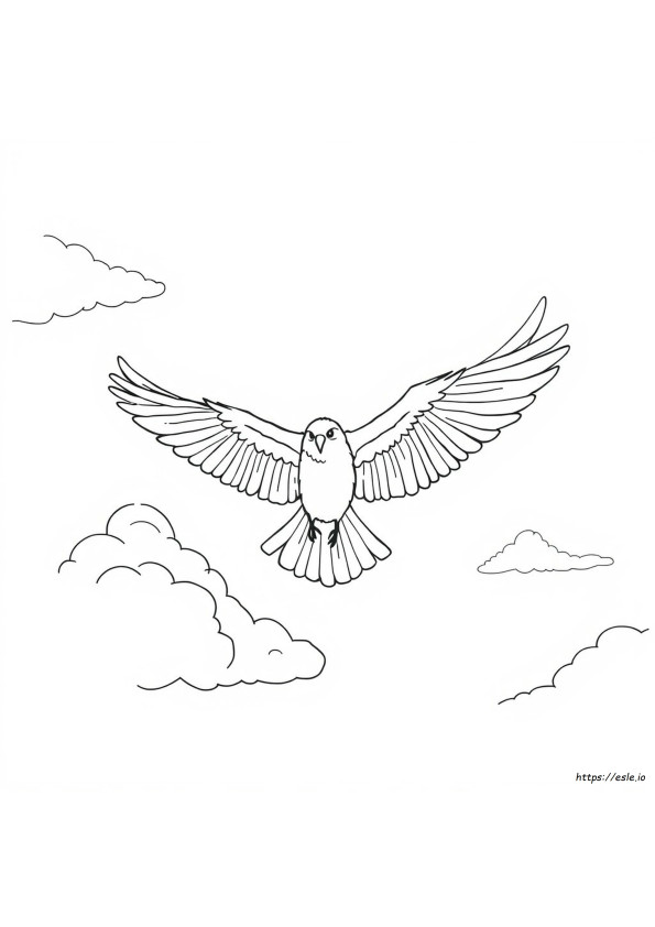 Vogelvleugels Kleurplaten