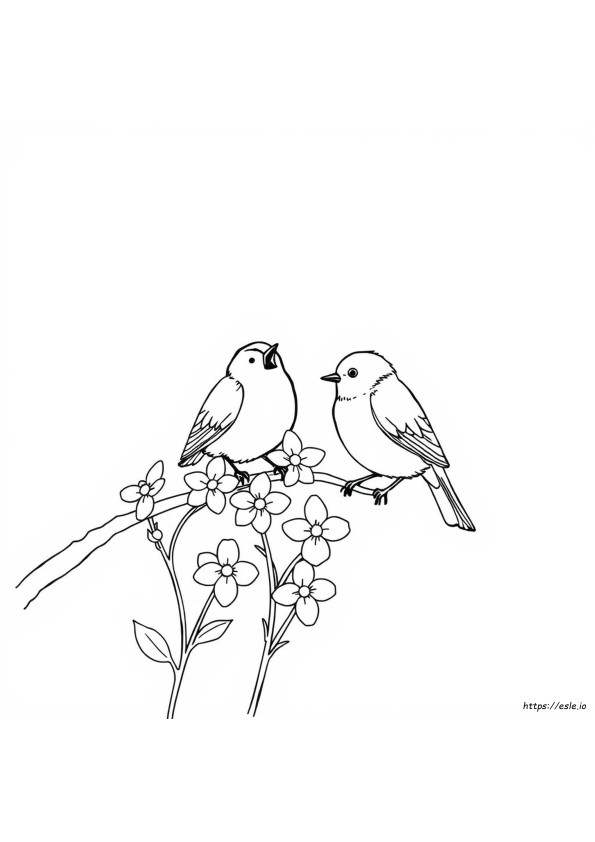 Werden Blaukehlchen Von Der Farbe Blau Angezogen