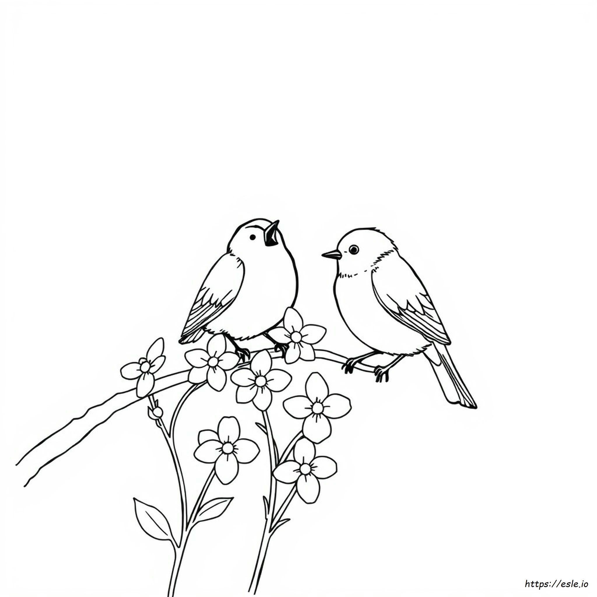 Are Bluebirds Attracted To The Color Blue
