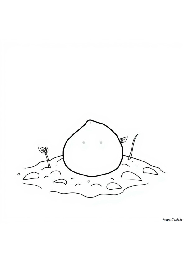 Coloring Page Of A Seed