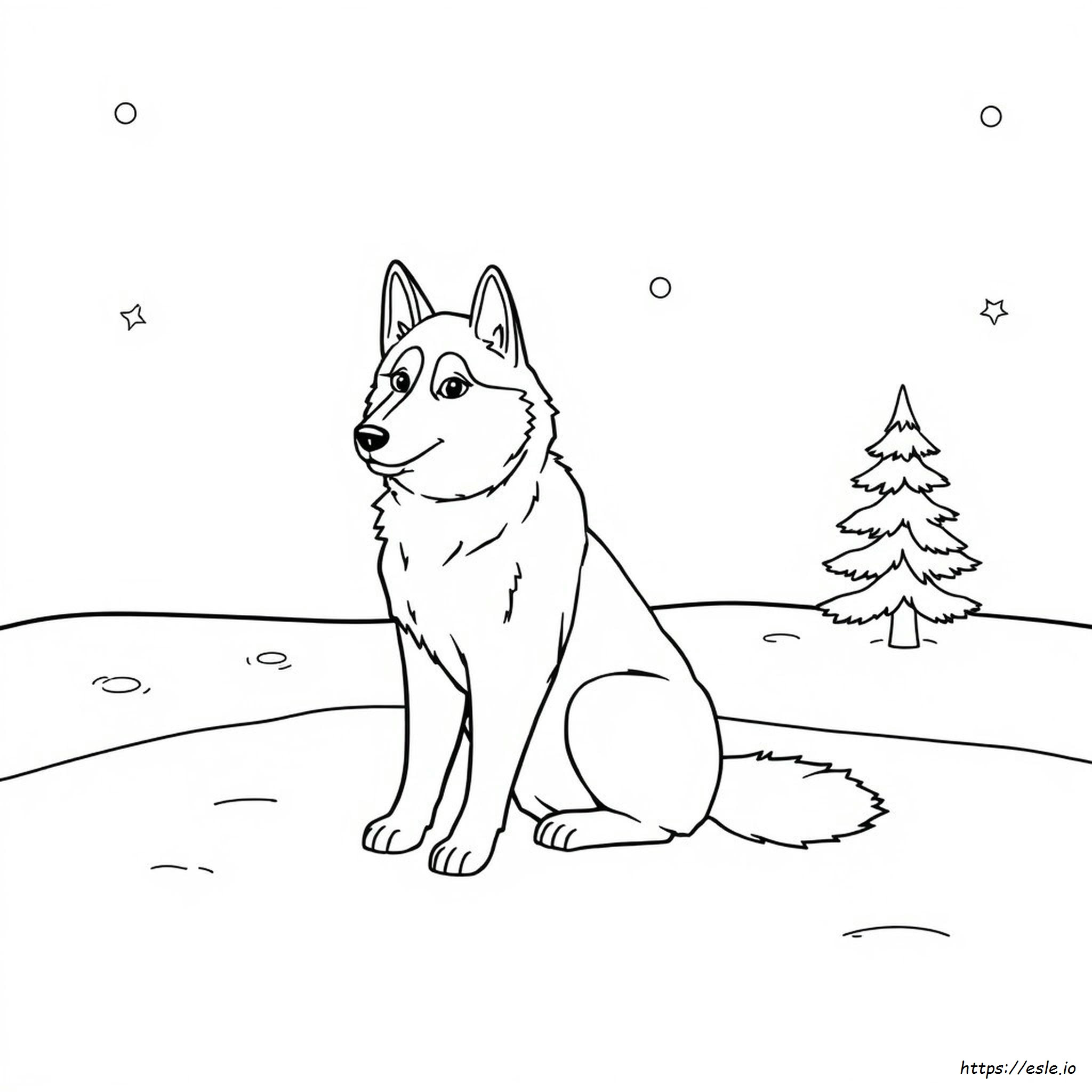 Coloriage Husky coloriage-husky