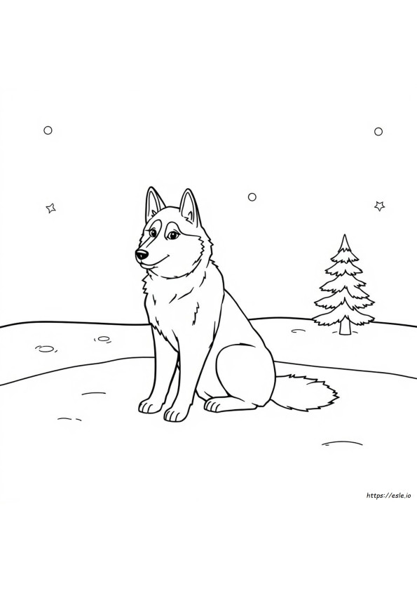 Husky Gambar Mewarnai