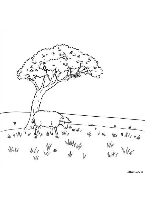 Shema Coloring Page