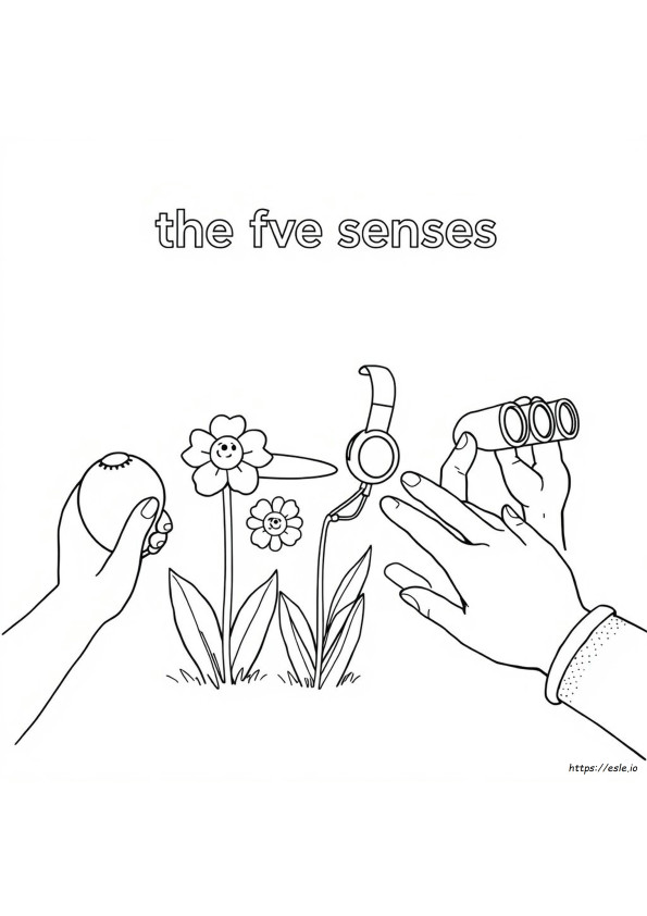 The Five Senses Coloring Pages