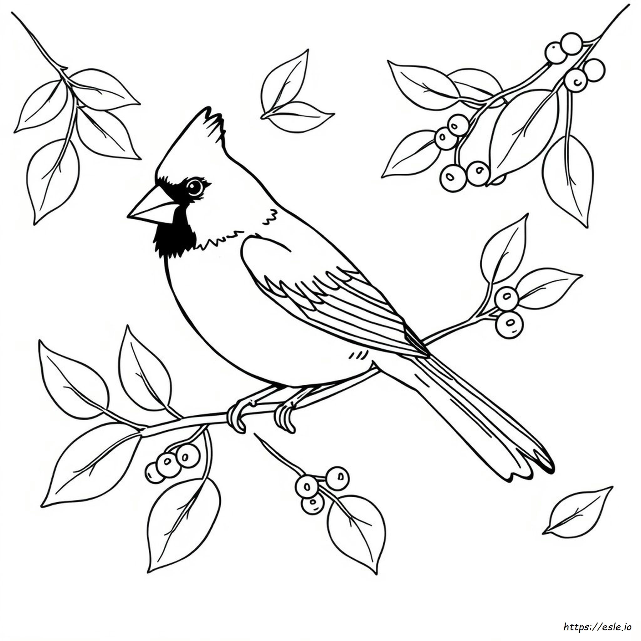 Cardinal Bird Coloring Page