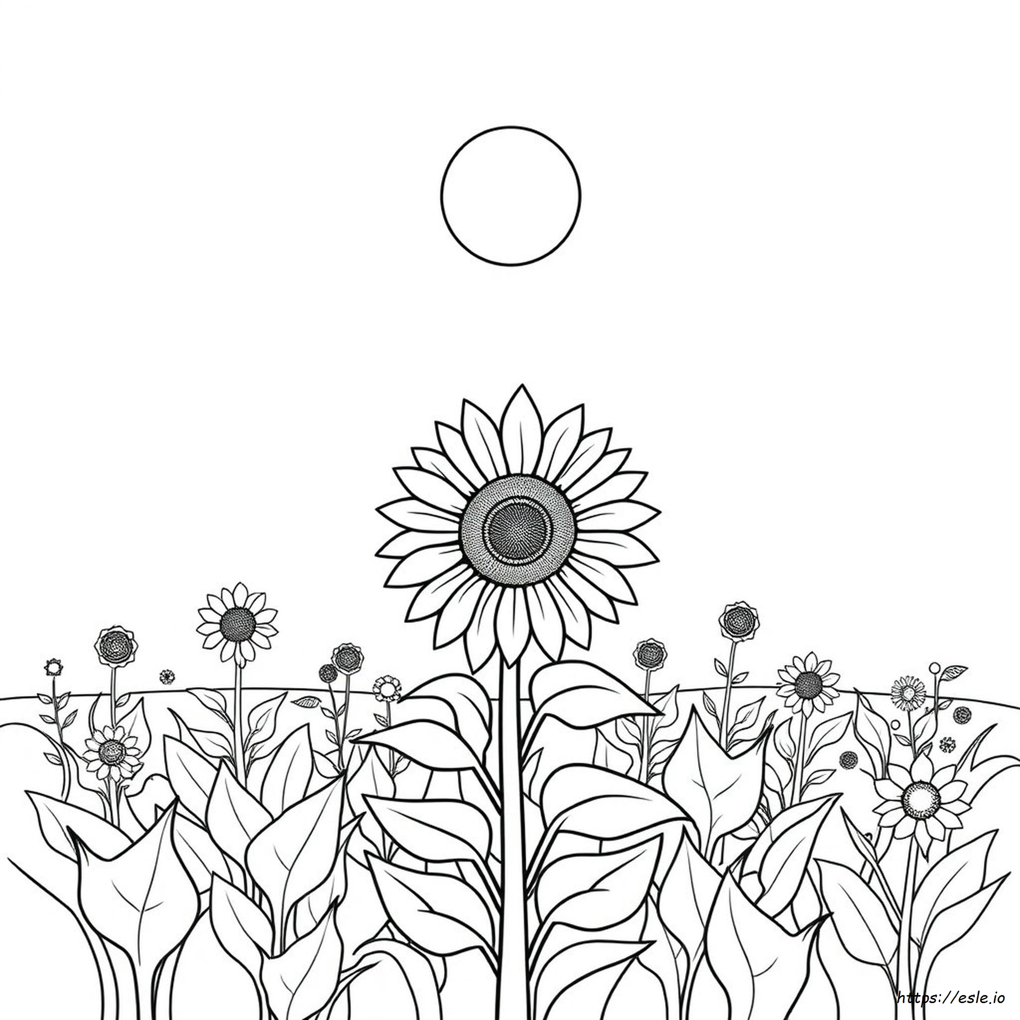 Free Printable Sunflower Coloring Pages