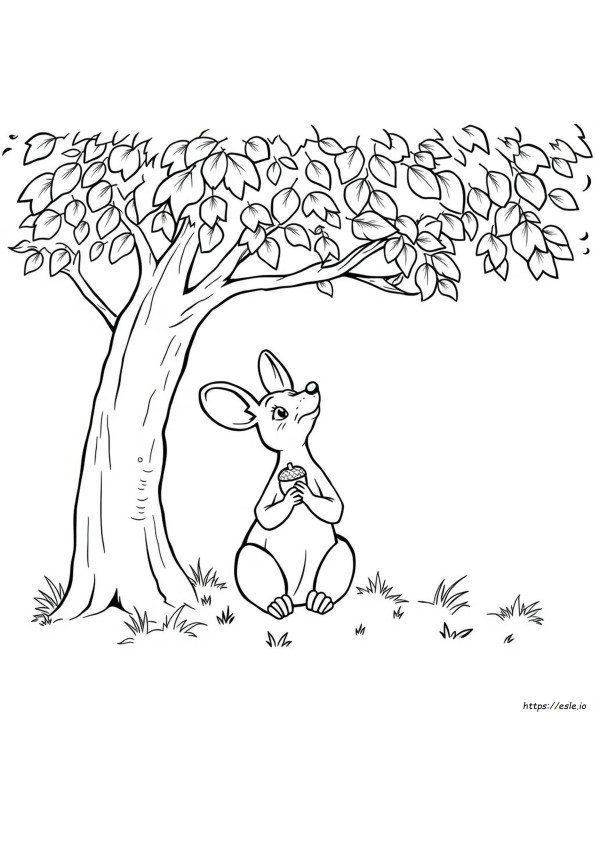 Bilby Para Colorir