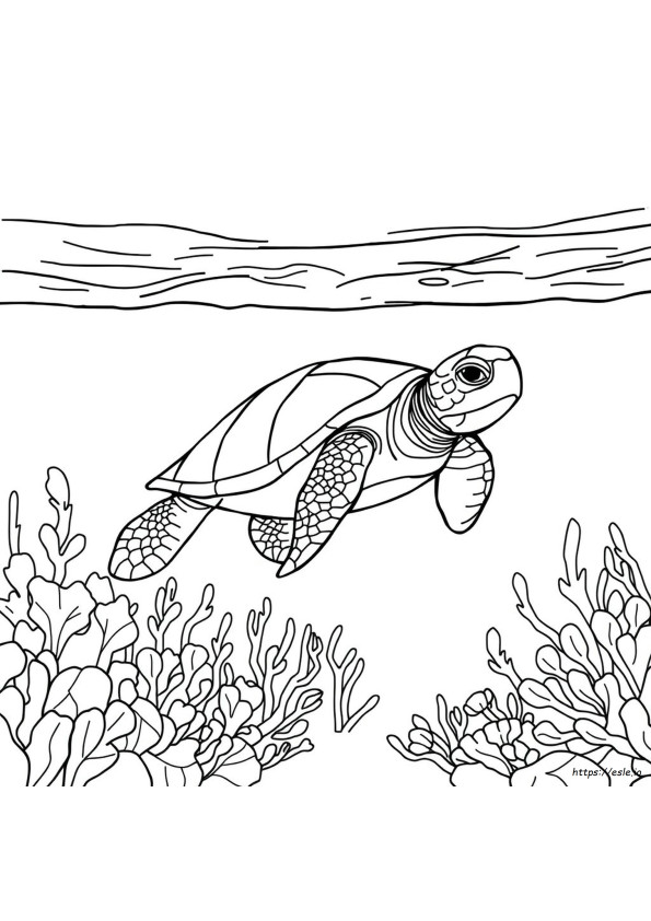 Adult Coloring Pages Sea Turtle