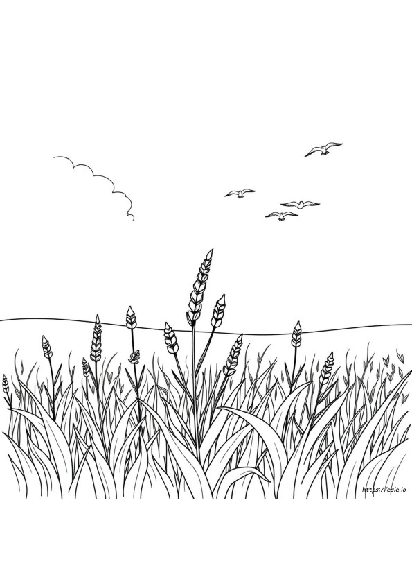 Free Weed Coloring Pages