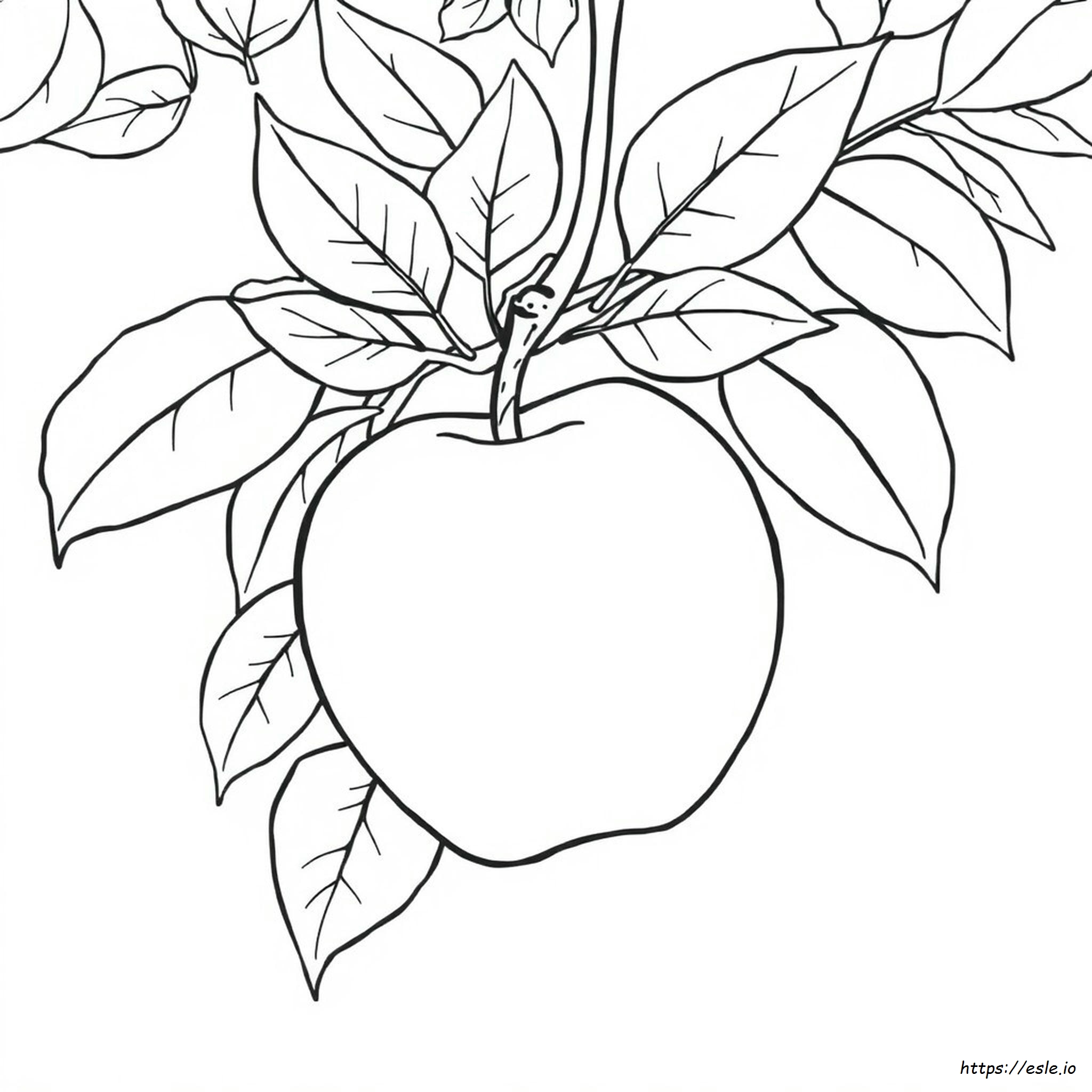 Big Apple Coloring Page